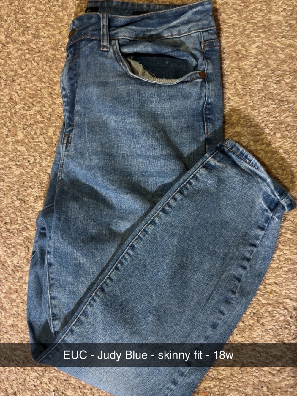 PLUS SIZE Judy Blue Skinny Jeans